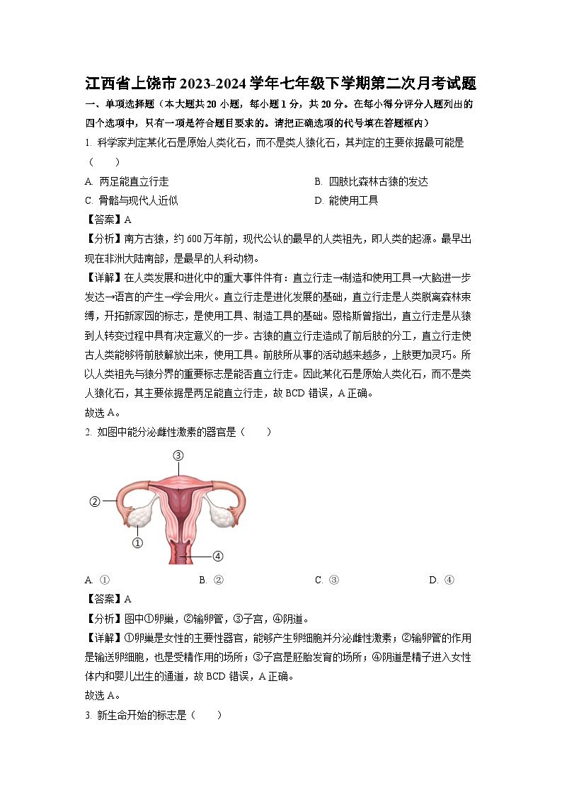 江西省上饶市2023-2024学年七年级下学期第二次月考生物试卷（解析版）