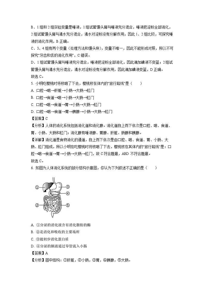 山东省菏泽市鲁西新区2023-2024学年七年级下学期期中生物试卷(解析版)第3页