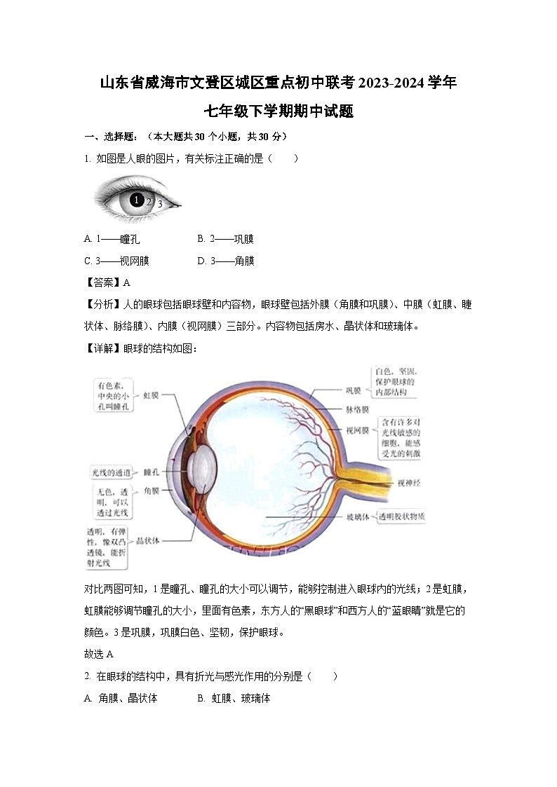 山东省威海市文登区城区重点初中联考2023-2024学年七年级下学期期中生物试卷(解析版)第1页