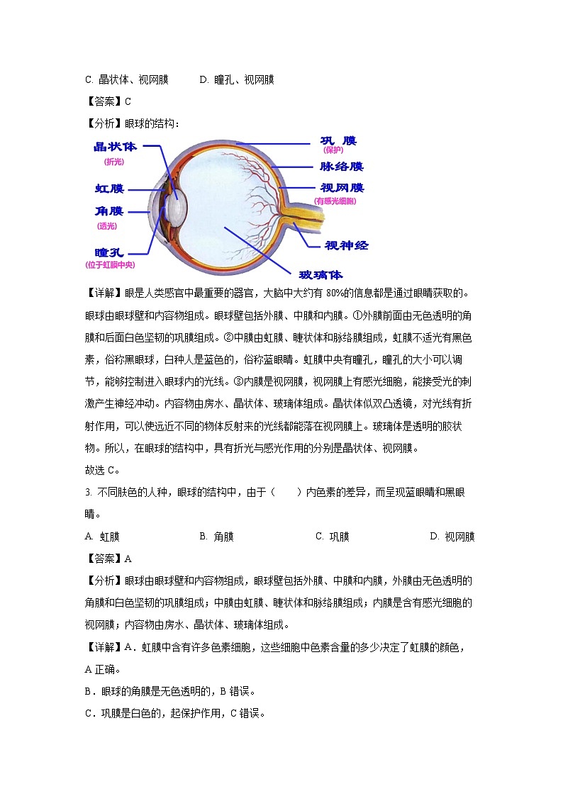 山东省威海市文登区城区重点初中联考2023-2024学年七年级下学期期中生物试卷(解析版)第2页