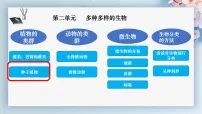人教版（2024）七年级上册（2024）第二节 种子植物教课课件ppt