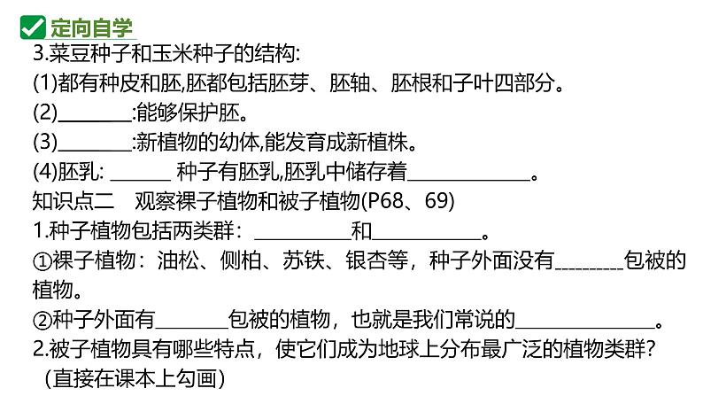 人教版生物七年级上册2.1.2《种子植物》课件第6页