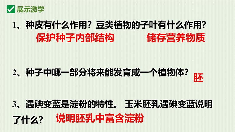 人教版生物七年级上册2.1.2《种子植物》课件第8页