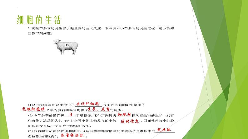 人教版生物七年级上册期中复习课件第6页