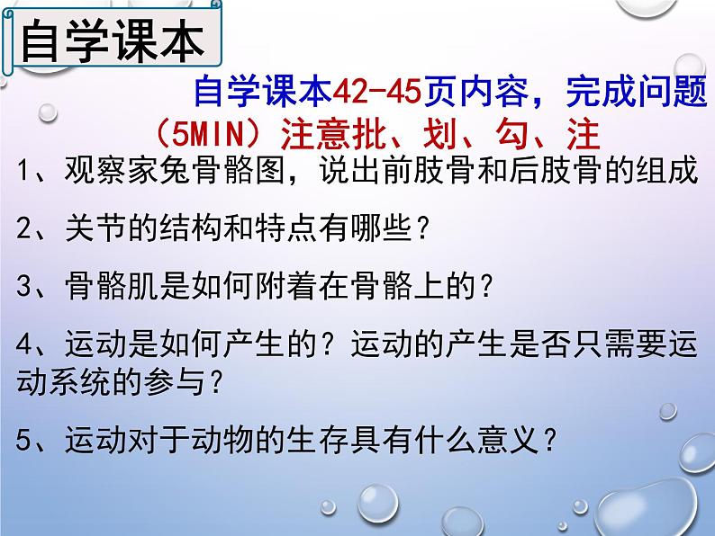 人教版生物八年级上册5.2.1《动物的运动》课件第3页