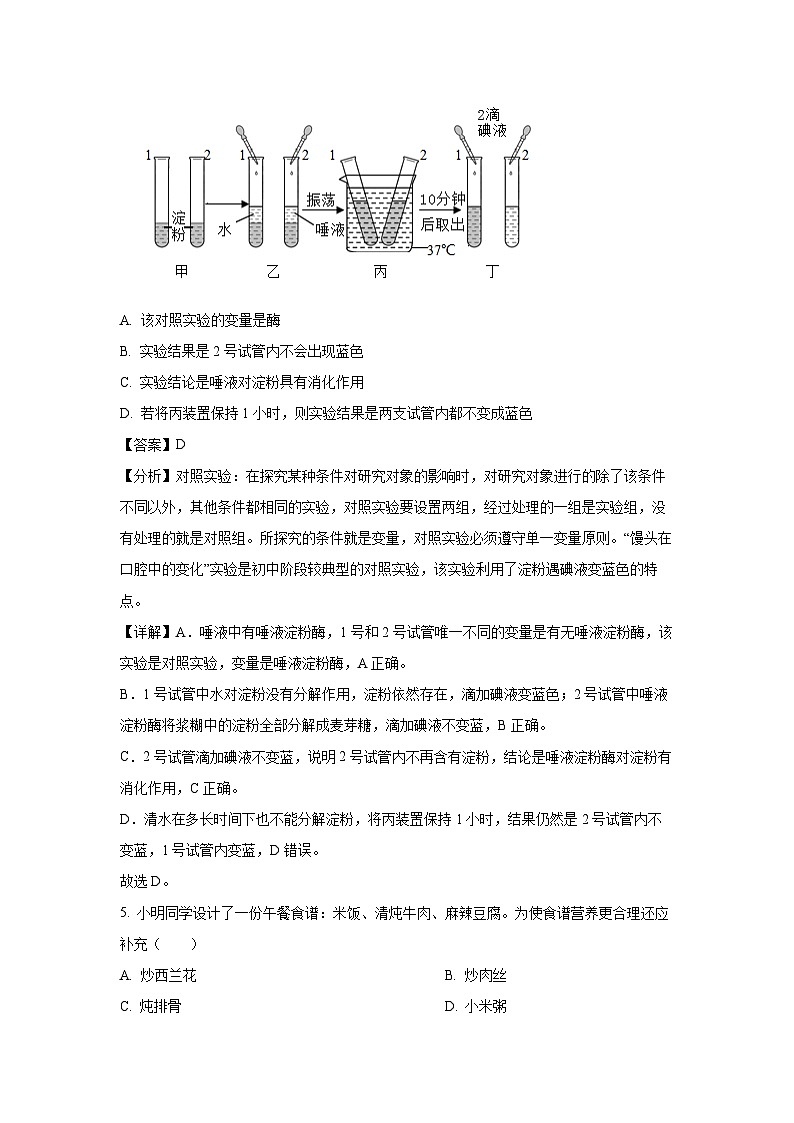 山东省聊城市聊城教育联盟共同体2023-2024学年七年级下学期6月月考生物试卷(解析版)第3页