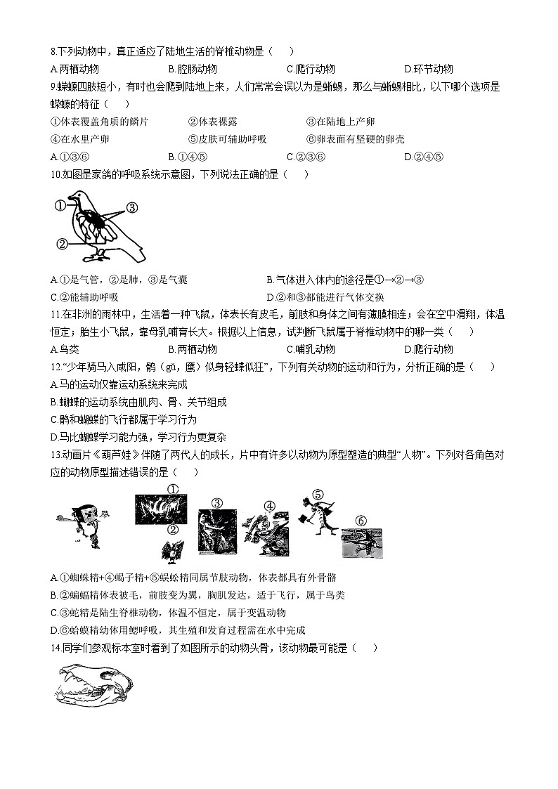 吉林省名校调研系列试卷2024-2025学年八年级上学期期中生物学试题第2页