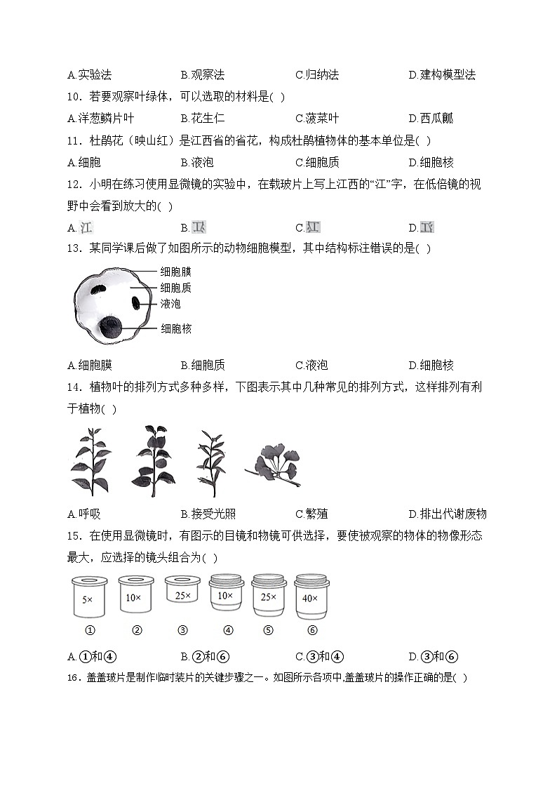 江西省九江市柴桑区五校联考2024-2025学年七年级上学期10月月考生物试卷(含答案)第2页