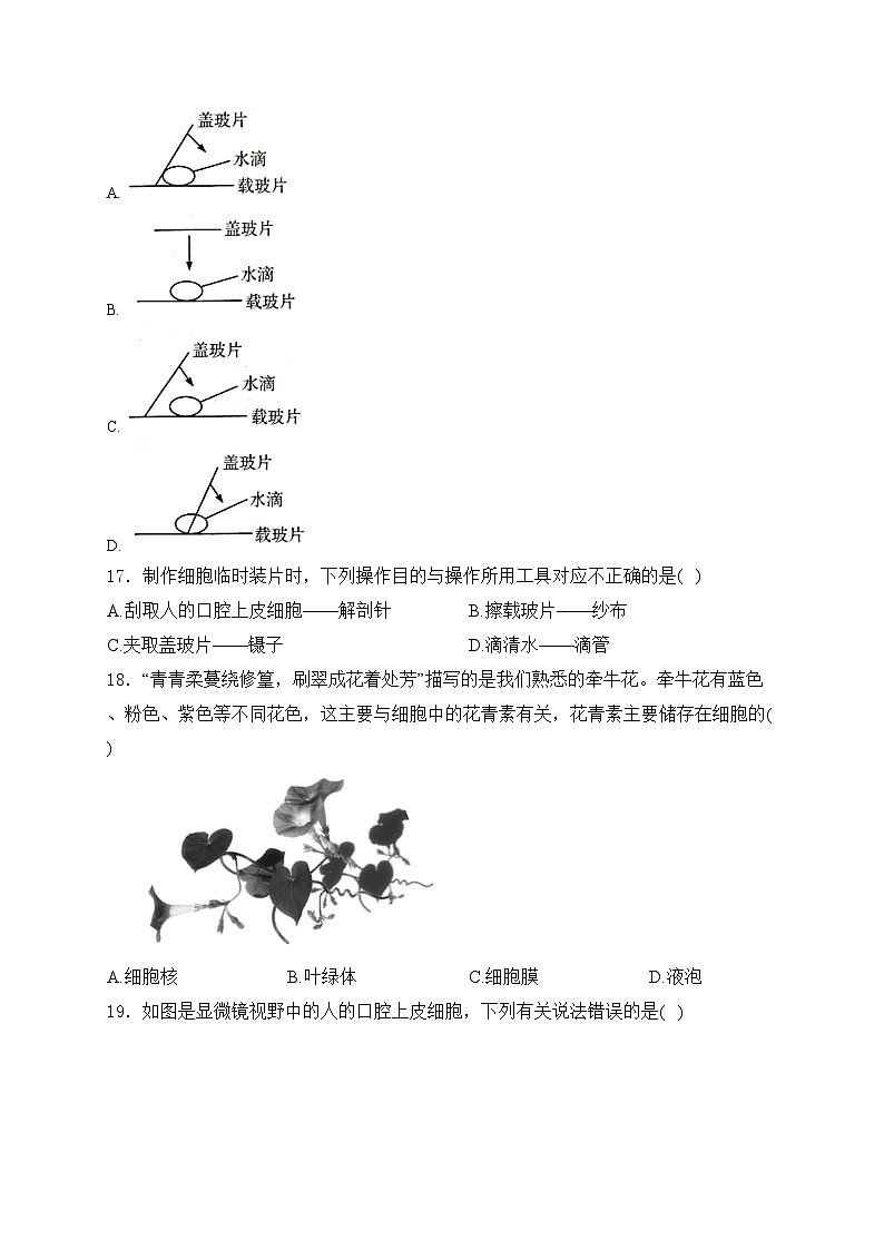 江西省九江市柴桑区五校联考2024-2025学年七年级上学期10月月考生物试卷(含答案)第3页