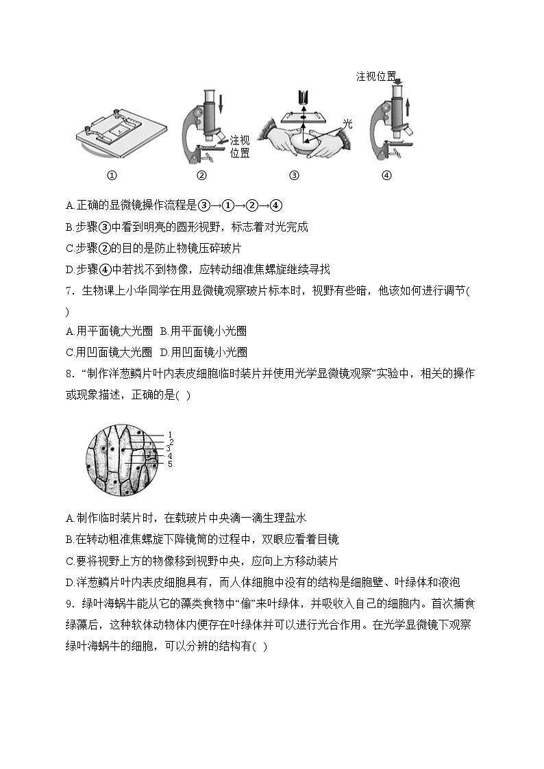 山东省临沂市2024-2025学年七年级上学期第一次月考生物试卷(含答案)第2页