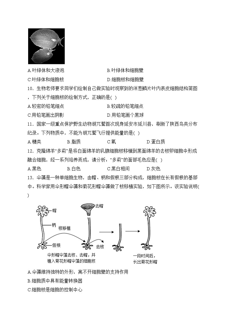 山东省临沂市2024-2025学年七年级上学期第一次月考生物试卷(含答案)第3页