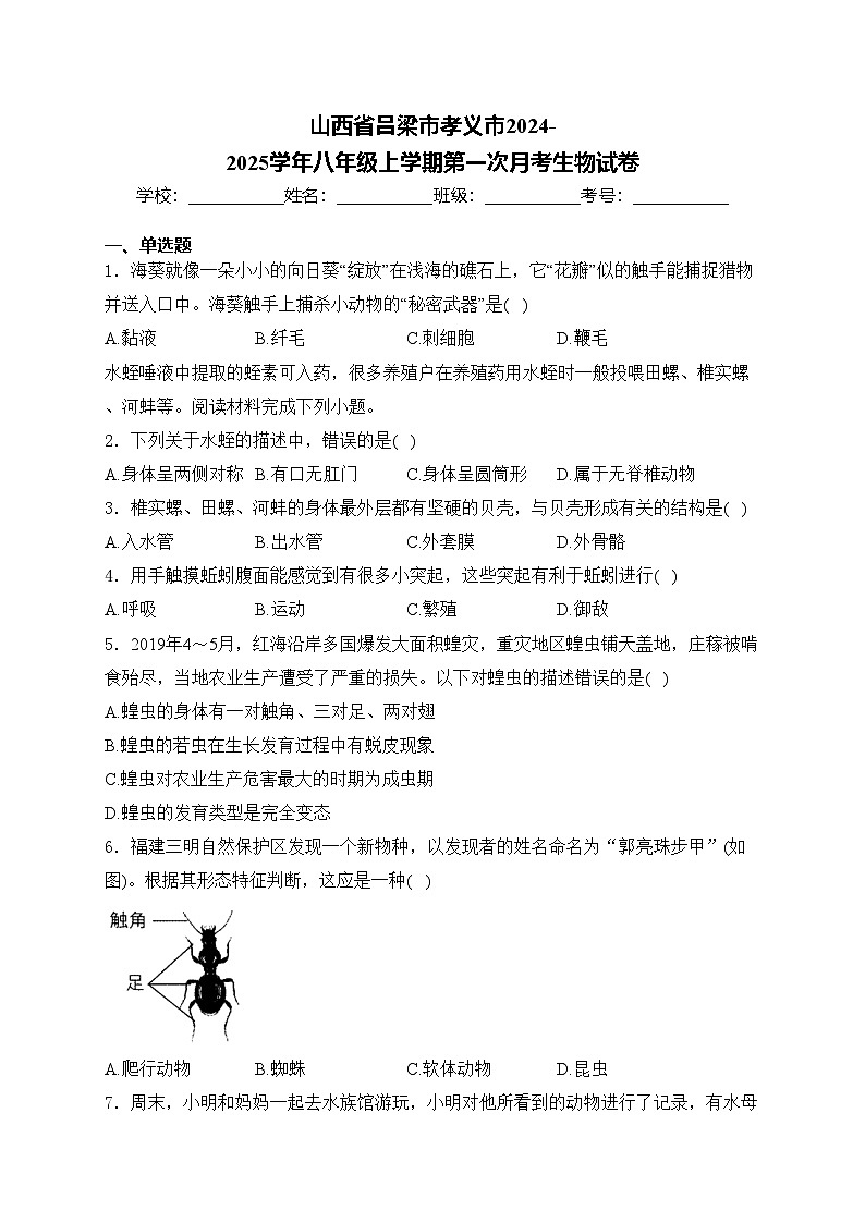 山西省吕梁市孝义市2024-2025学年八年级上学期第一次月考生物试卷(含答案)01