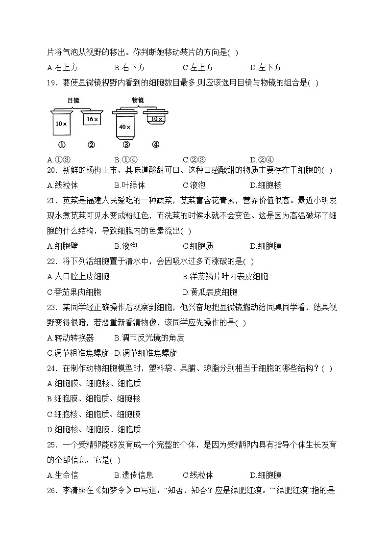 山西省吕梁市孝义市2024-2025学年七年级上学期10月月考生物试卷(含答案)第3页