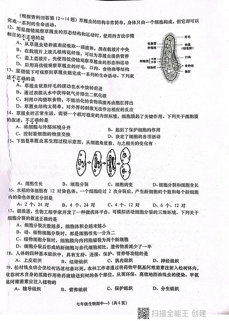 广东省揭阳市惠来县2024-2025学年七年级上学期11月期中生物试题第3页