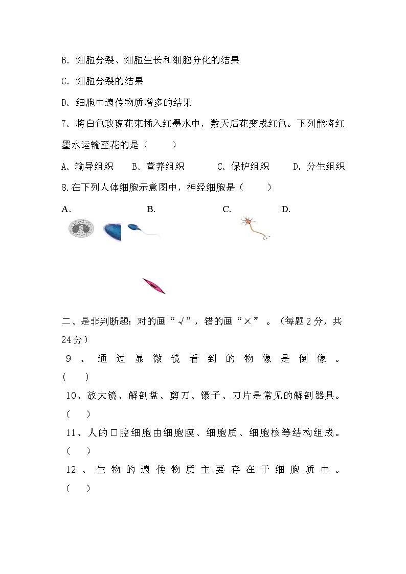 北师大版(2024新版)七年级上册生物期中模拟测试试卷(含答案)第2页