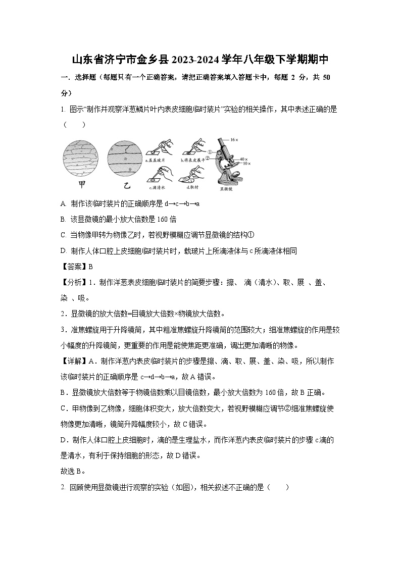 山东省济宁市金乡县2023-2024学年八年级下学期期中生物试卷(解析版)