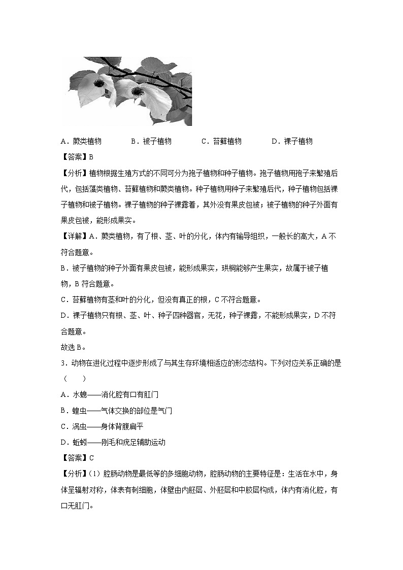 江苏省八年级上学期期中模拟卷苏教版生物试卷(解析版)第2页