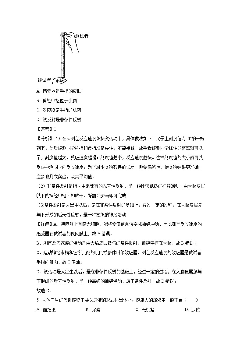 江苏省徐州市2023-2024学年八年级上册期末模拟生物试卷(解析版)03