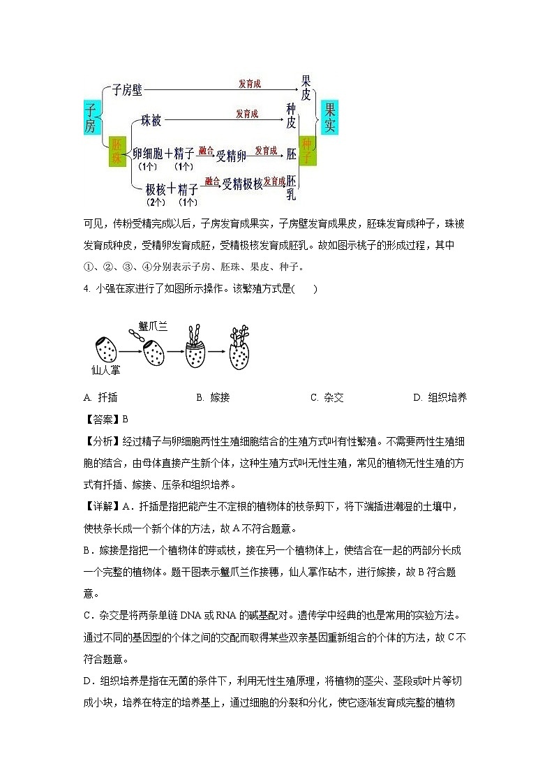 江苏省徐州市丰县七校2023-2024学年八年级上学期12月月考生物试卷(解析版)第3页