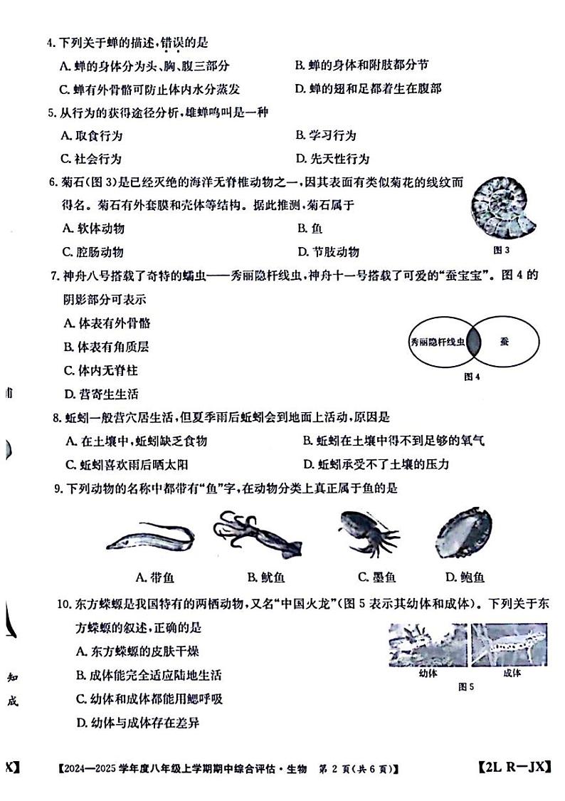 江西省九江市武宁县2024-2025学年八年级上学期期中综合评估生物试题02