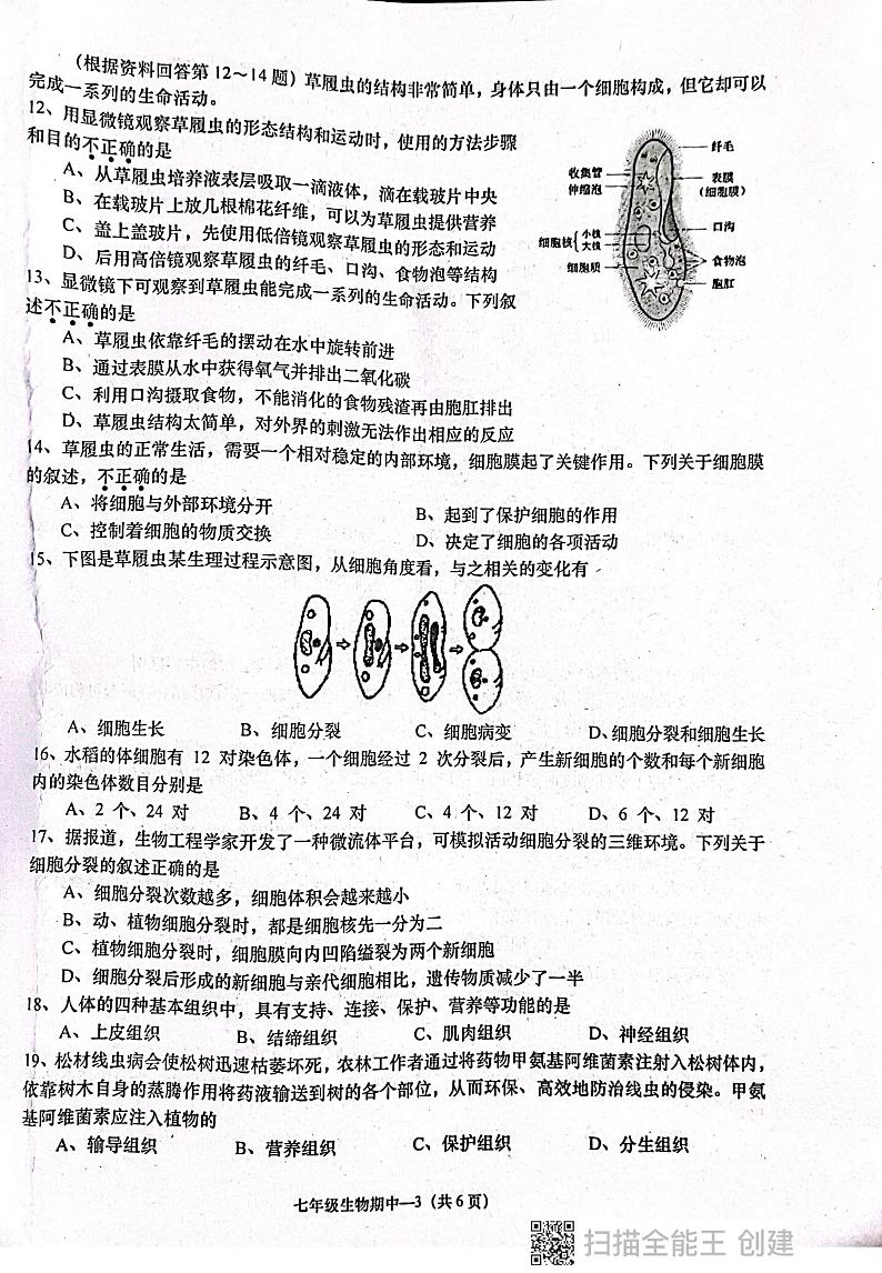 广东省揭阳市惠来县2024-2025学年七年级上学期11月期中生物试题(002)03