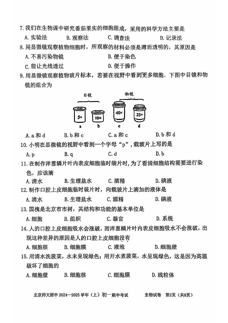 北京师范大学附属中学2024-2025学年七年级上学期期中考试生物试卷第2页