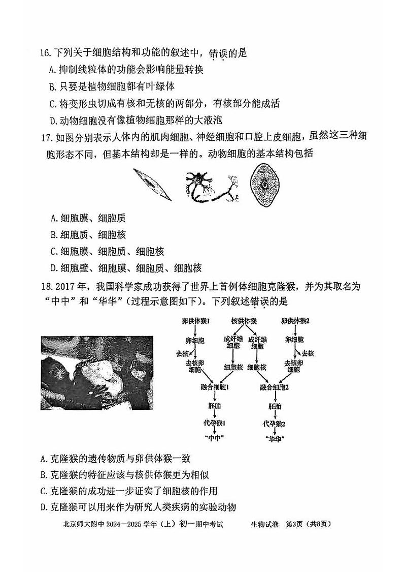 北京师范大学附属中学2024-2025学年七年级上学期期中考试生物试卷第3页