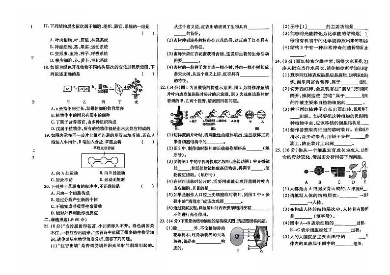 吉林省白山市抚松县2024~2025学年七年级上学期第一次月考测试生物试卷02