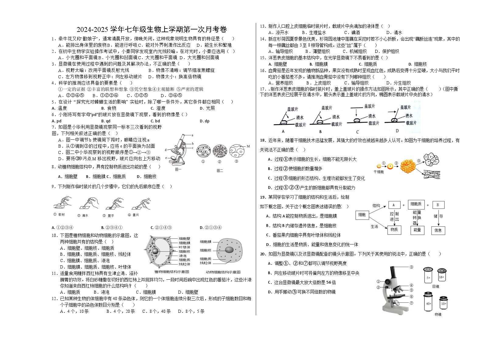 山东省菏泽市郓城一中2024-2025学年七年级上学期第一次月考生物试题