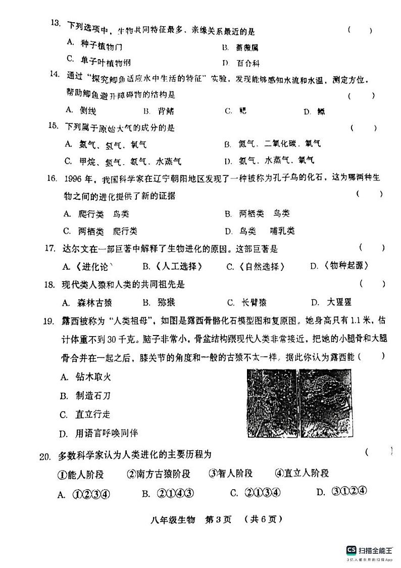 河南省周口市第十九初级中学2024-2025学年八年级上学期11月期中生物试题第3页