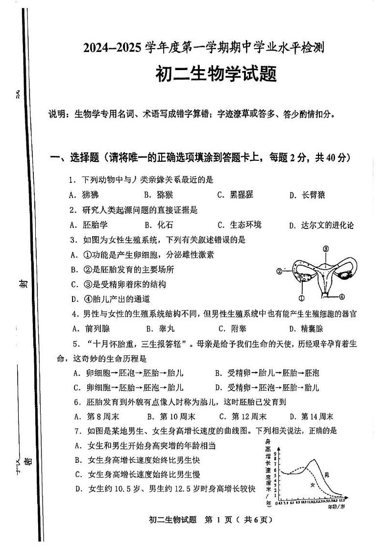 山东省淄博市张店区2024-2025学年七年级上学期11月期中生物试题第1页
