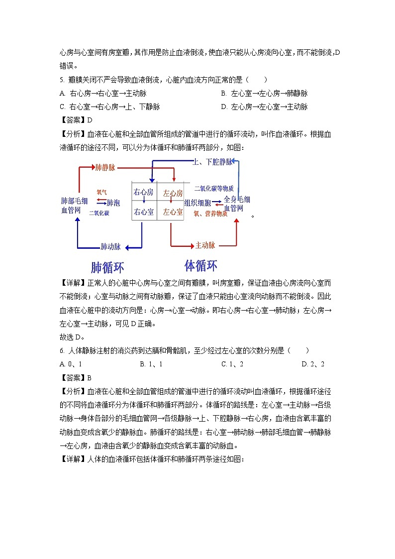 河北省邢台市任泽区2023-2024学年七年级下学期期中生物试卷(解析版)03