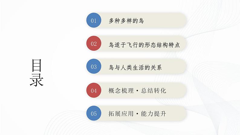 2.2.2 脊椎动物(第3课时 鸟)-初中生物七年级上册 同步教学课件+教学设计(人教版2024)02
