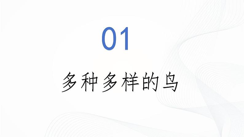 2.2.2 脊椎动物(第3课时 鸟)-初中生物七年级上册 同步教学课件+教学设计(人教版2024)05