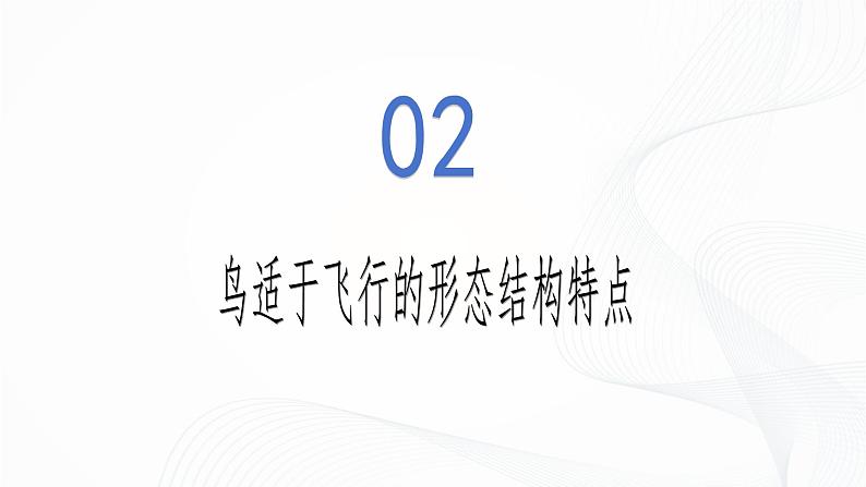 2.2.2 脊椎动物(第3课时 鸟)-初中生物七年级上册 同步教学课件+教学设计(人教版2024)08