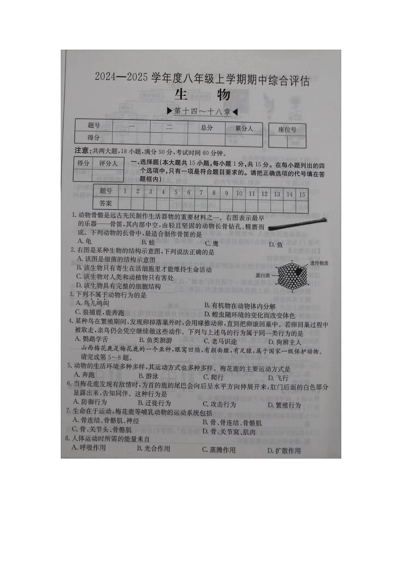 山西省运城市盐湖二中、运城市盐湖三中2024-2025学年八年级上学期11月期中生物试题第1页