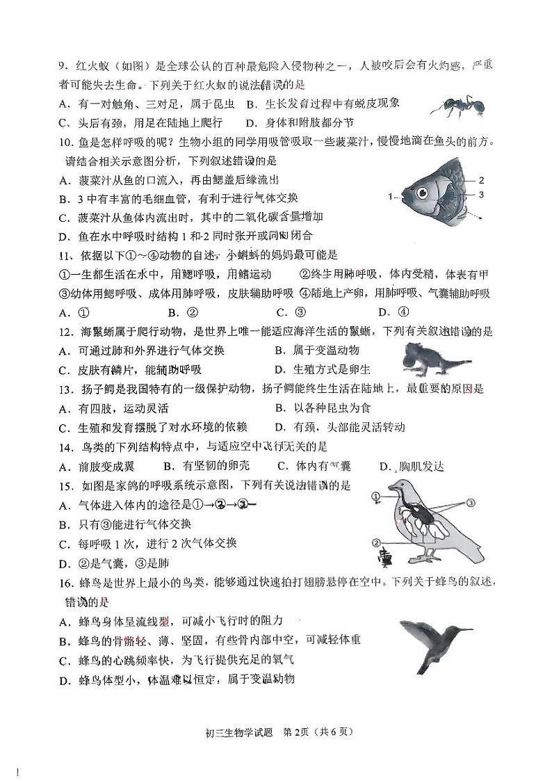 山东省淄博市临淄区2024—2025学年八年级上学期期中质量检测生物试卷02