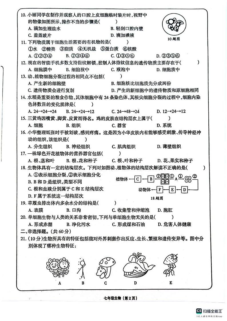 甘肃省庆阳市镇原县2024-2025学年七年级上学期生物期中测试生物试题02