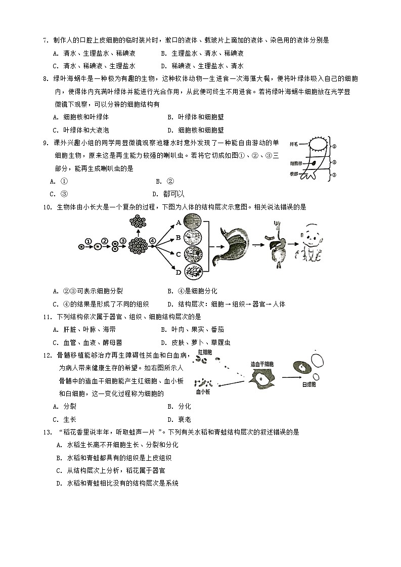 生物第2页