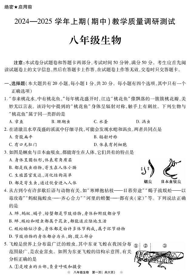 河南省鹤壁市2024-2025学年上期期中教学质量调研八年级生物试卷第1页