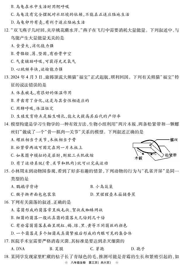 河南省鹤壁市2024-2025学年上期期中教学质量调研八年级生物试卷第3页