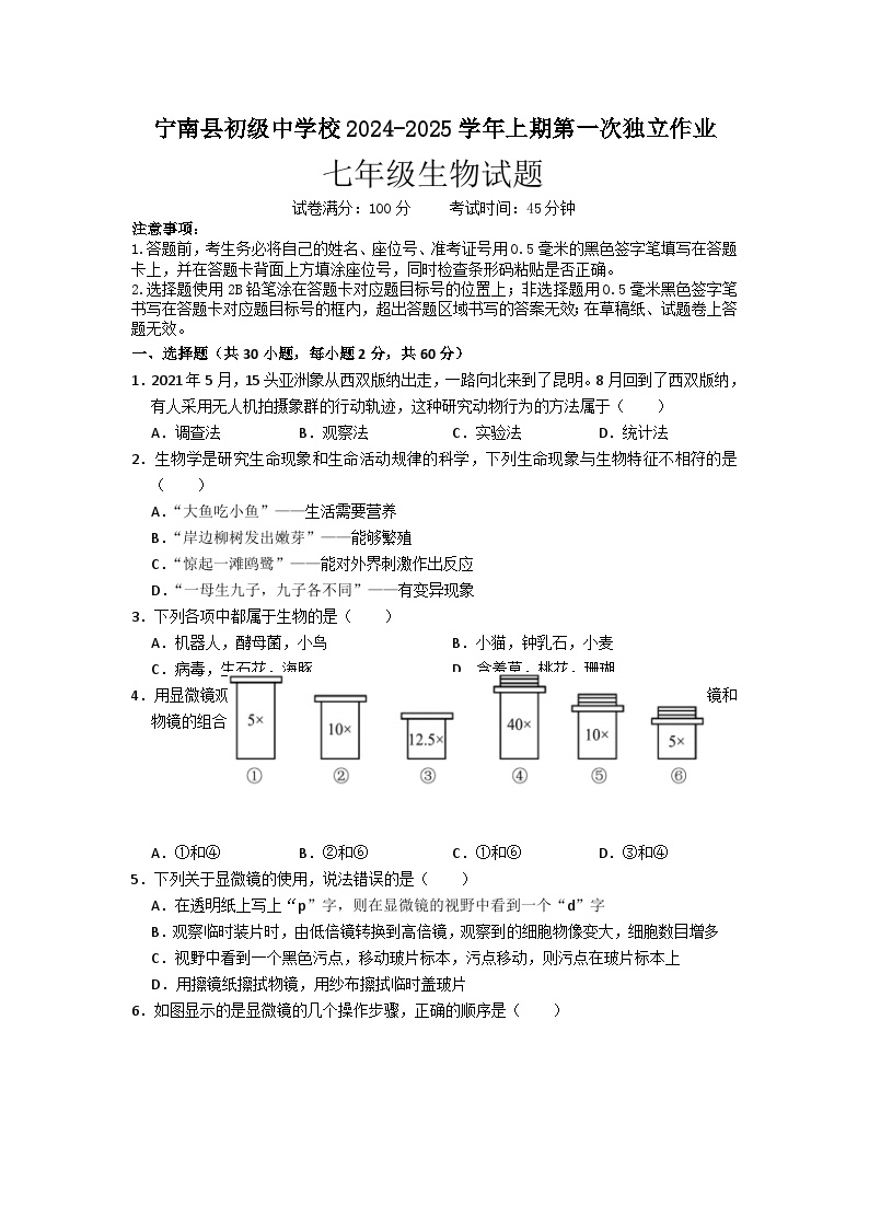 四川省凉山州宁南县初级中学校2024-2025学年七年级上学期第一次月考生物试题