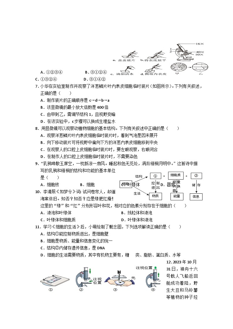 四川省凉山州宁南县初级中学校2024-2025学年七年级上学期第一次月考生物试题02