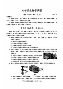 山东省潍坊市诸城市2024-2025学年八年级上学期11月期中考试生物试题