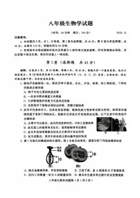 山东省潍坊市诸城市2024-2025学年八年级上学期11月期中考试生物试题