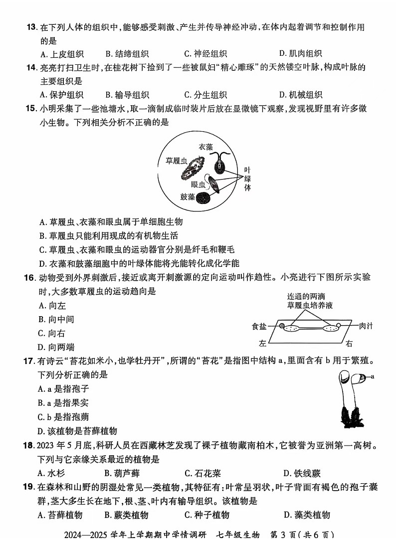 河南省郑州市登封市嵩阳中学2024--2025学年七年级生物上学期期中考试卷 第3页