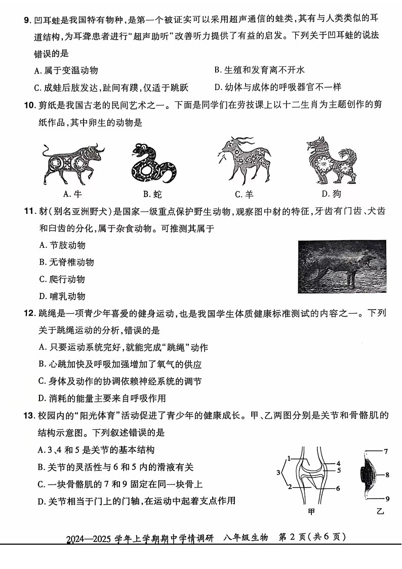 河南省郑州市登封市嵩阳中学2024--2025学年八年级生物上学期期中考试卷 第2页