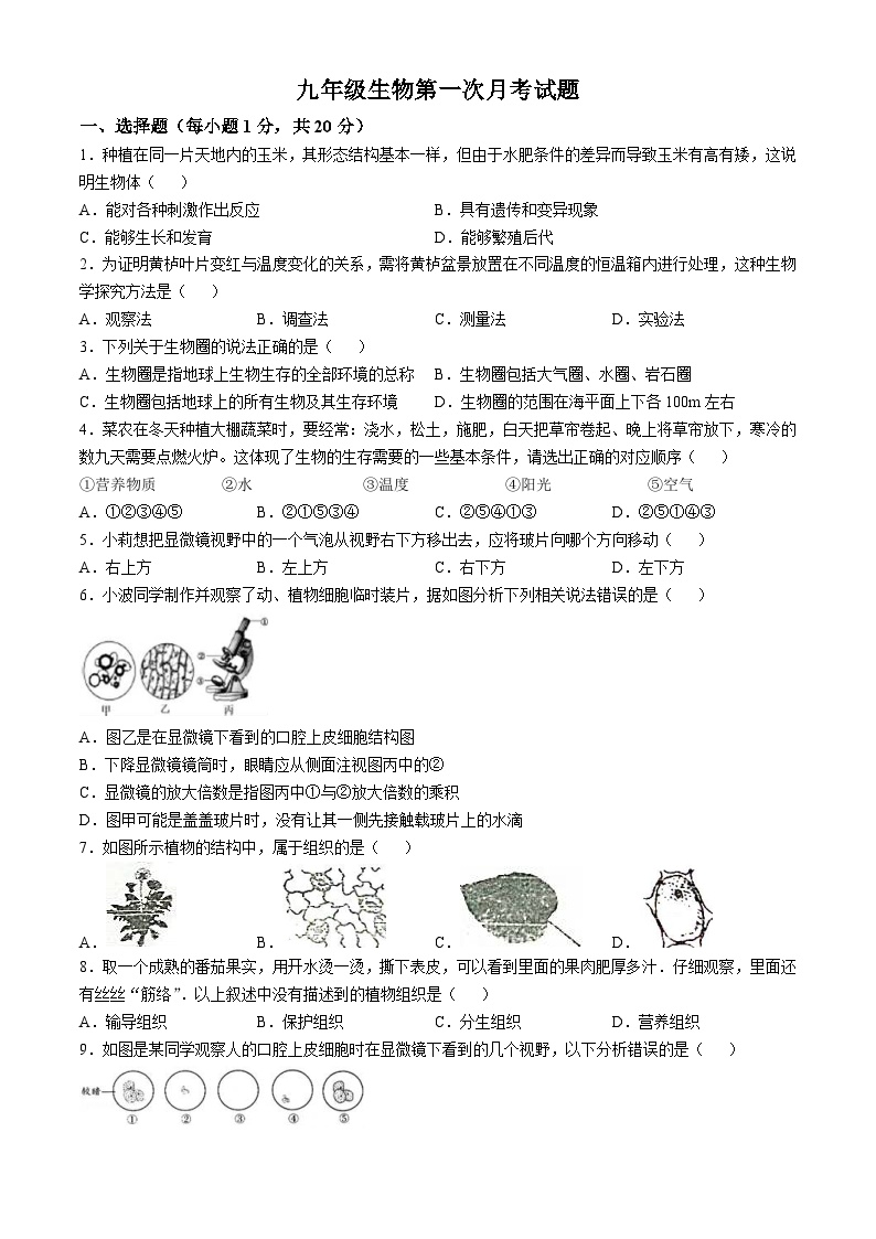 山东省菏泽市郓城一中2024-2025学年九年级上学期第一次月考生物试题