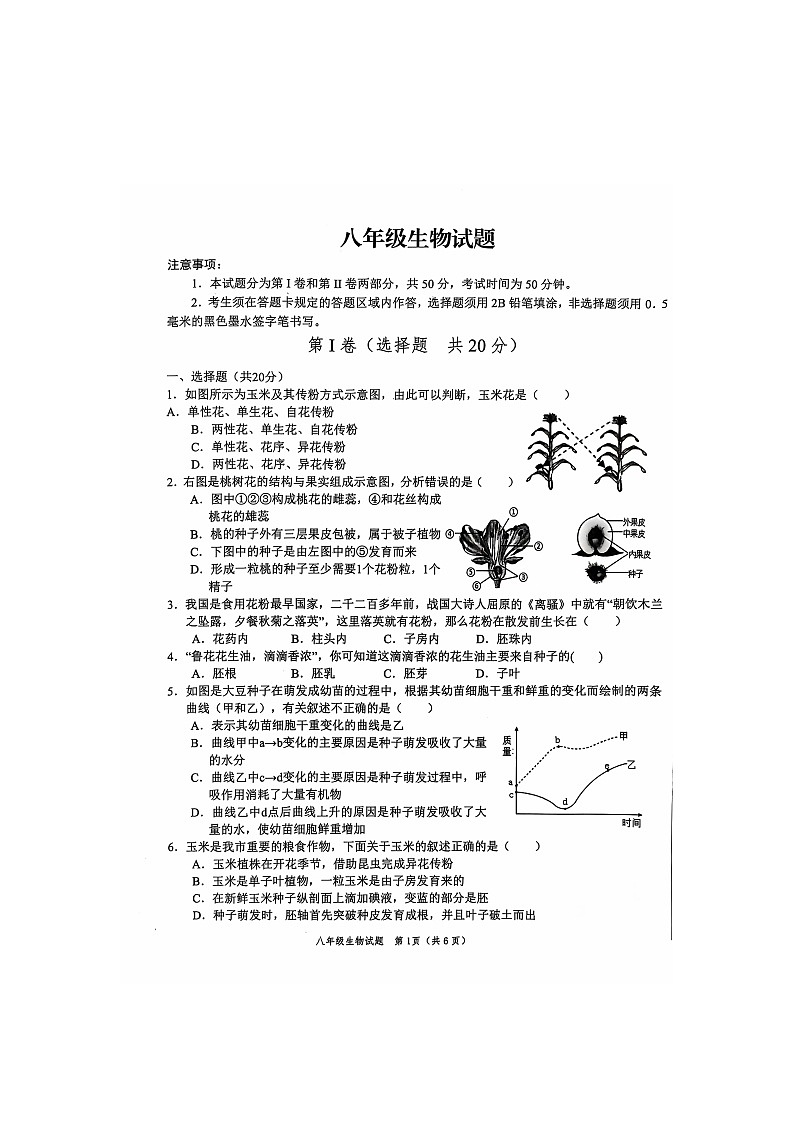 山东省菏泽市经济技术开发区2024-2025学年八年级上学期11月期中考试生物试题01