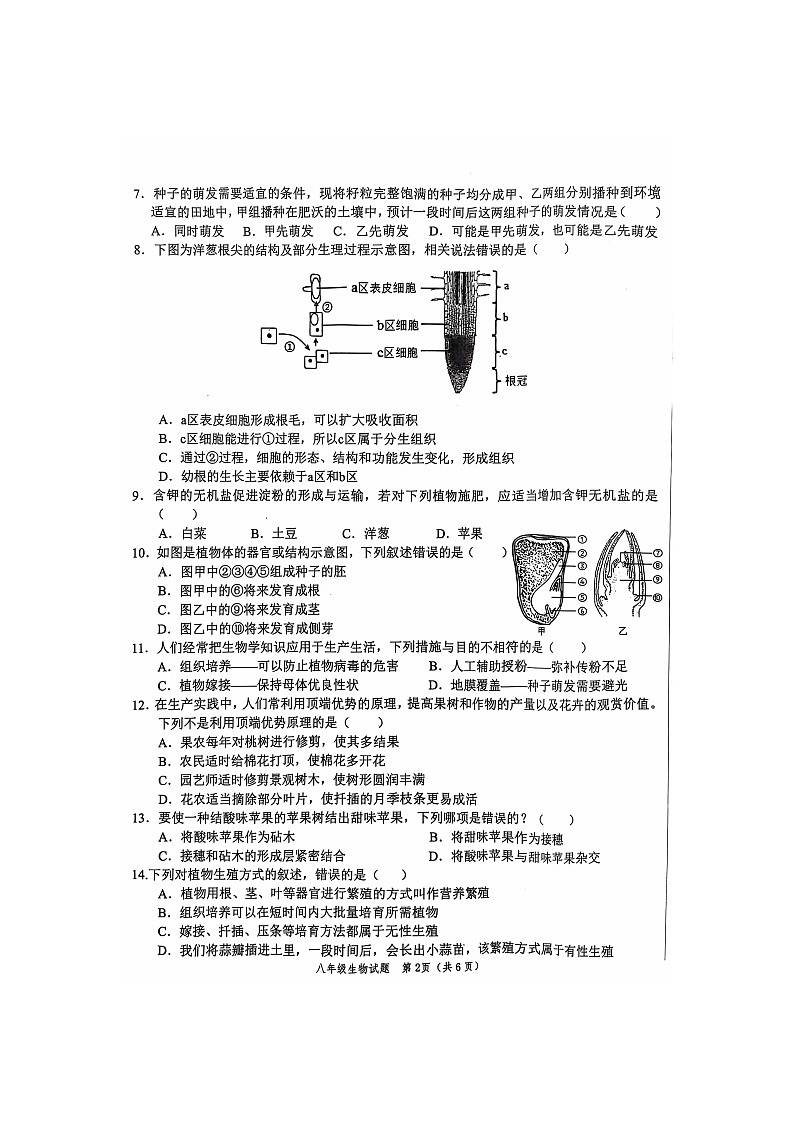 山东省菏泽市经济技术开发区2024-2025学年八年级上学期11月期中考试生物试题02
